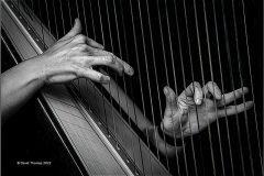 Digital-Open-Monochrome_David-Thomas_Wales_Musical-Hands_Leigh-Woolfords-Medal