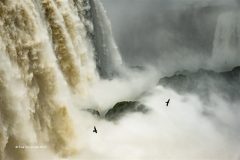 Print-Open-Colour_Sue-OConnell_England_Flight-at-the-Falls_WPF-Ribbon