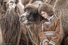 Digital-PhotoTravel_Jijun-Sun_China_Camels-and-Girls_