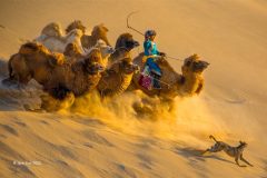 Digital-PhotoTravel_Jijun-Sun_China_Walking-in-the-Desert_
