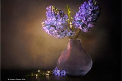 Print-Open-Colour_Christine-Tidman_Wales_Blue-Hyacinths_