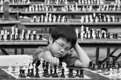 Print-Open-Monochrome_Volker-Meinberg_Germany_Chess-in-the-Park-2019-07_