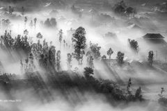 Digital-Open-Monochrome_Lajos-Nagy_Romania_Early-Morning-Mist_FIAP-Ribbon