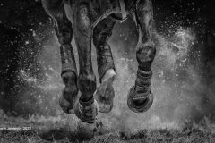 Digital-Open-Monochrome_Maybeth-Jamieson_Scotland_Thunder_Chairmans-Award