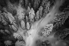 Digital-Open-Monochrome_Radoslav-Sviretsov_Bulgaria_Snow-Road_PAGB-Ribbon