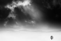Digital-Open-Monochrome_Rosemary-Wilman_England_Tree-Snow-and-Cloud_GPU-Ribbon