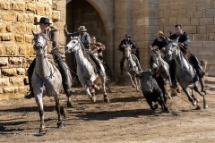 Digital-PhotoTravel_Christine-Mallett_England_Running-the-Bull_FIAP-Gold-medal