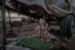 Digital-PhotoTravel_Jyh-Ching-Ju_Taiwan_Camel-Farmer2_GPU-Gold-Medal