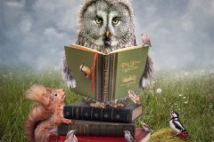 Print-Open-Colour_Lynda-Haney_England_Story-Time_FIAP-Silver-medal