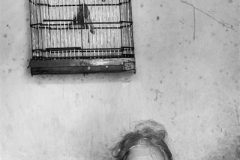 Print-Open-Monochrome_John-McVie_Scotland_Old-Woman-and-Birdcage_GPU-Ribbon