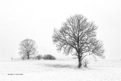 Digital-Open-Monochrome_Albert-J.-Pinkl_Germany_Onset-of-Winter_