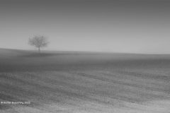 Digital-Open-Monochrome_Gunter-Buesching_Germany_Herbst-2_