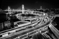 Digital-Open-Monochrome_Huimin-Wang_China_Songpu-Bridge_