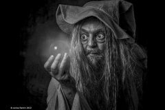 Digital-Open-Monochrome_Janice-Barton_England_Wizard_
