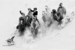 Digital-Open-Monochrome_Jijun-Sun_China_Desert-Walk_
