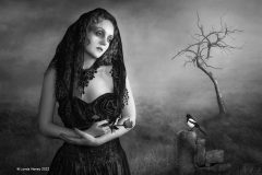 Digital-Open-Monochrome_Lynda-Haney_England_One-for-Sorrow_