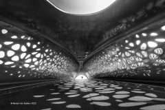 Digital-Open-Monochrome_Marcel-Van-Balken_Netherlands_Parkbridge_