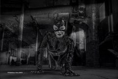 Digital-Open-Monochrome_Matthew-Hoar_England_Crawling-to-You_