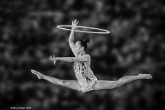 Digital-Open-Monochrome_Mei-Lin-Hsieh_Taiwan_Advancing-Rapidly_