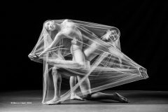 Digital-Open-Monochrome_Mei-Lin-Hsieh_Taiwan_The-Art-of-Ballet_