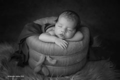 Digital-Open-Monochrome_Michelle-Walker_England_Levi_