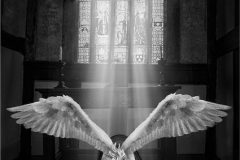 Digital-Open-Monochrome_Sharon-Prenton-Jones_Wales_The-Visitation_