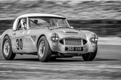 Digital-Open-Monochrome_Tony-Carwithen_England_Healey-3000_