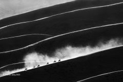 Digital-Open-Monochrome_Zhizhou-Jiang_China_Saltant-Music-Notes_