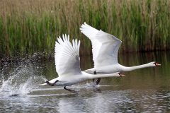 Digital-Nature_Alexander-Hochhaus_Germany_To-start_