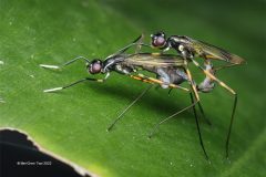 Digital-Nature_Mei-Chen-Tsai_Taiwan_Wedding-2_