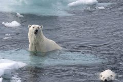 Digital-Nature_Sandie-Cox_England_Watchful-Mum_