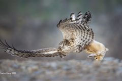 Digital-Nature_Yuehui-Xiong_China_hunt_