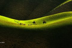 Digital-Open-Colour_Huamin-Zhou_China_Body-shaped-Pasture_