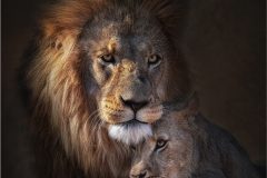 Digital-Open-Colour_Jane-Christine-Horton_England_Protector_