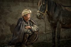 Digital-Open-Colour_Ji-Chen_China_Horse-Caravan-Station_