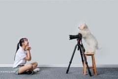 Digital-Open-Colour_Jie-Zhang_China_Photography_