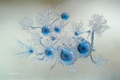 Digital-Open-Colour_Jijun-Sun_China_Ice-Flower_