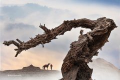 Digital-Open-Colour_Jinyu-Zhao_China_Endless-Bonding_