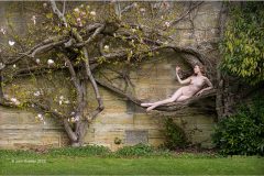 Digital-Open-Colour_John-Scotten_England_Elegance_