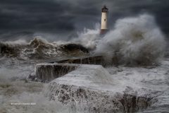 Digital-Open-Colour_Kathryn-J-Scorah_England_2-Ferocity_Dave-Coatess-Medal