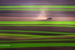 Digital-Open-Colour_Lajos-Nagy_Romania_Field-Lanes_