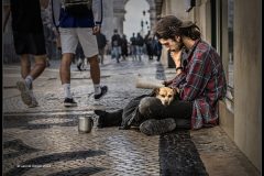 Digital-Open-Colour_Leonid-Goldin_Israel_Dog-Life_