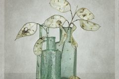 Digital-Open-Colour_Linda-Gates_England_Honesty-In-Old-Bottles_