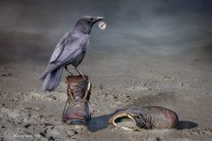 Digital-Open-Colour_Lynda-Haney_England_Lost_