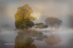 Digital-Open-Colour_Malcolm-Cook_England_Just-Three_