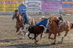 Digital-Open-Colour_Michael-Bray_Wales_Stretch_