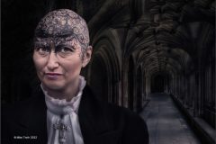 Digital-Open-Colour_Mike-Troth_England_A-Different-Apostle_