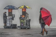 Digital-Open-Colour_Roger-Bradshaw_England_Which-One-to-Chose_WPF-Ribbon