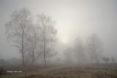 Digital-Open-Colour_Roger-Creber_England_Afternoon-Mist_