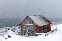 Digital-Open-Colour_Ruth-Hayton_Scotland_Reindeer-Hut_